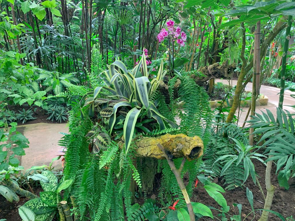 Benalmadena Pueblo - butterfly park