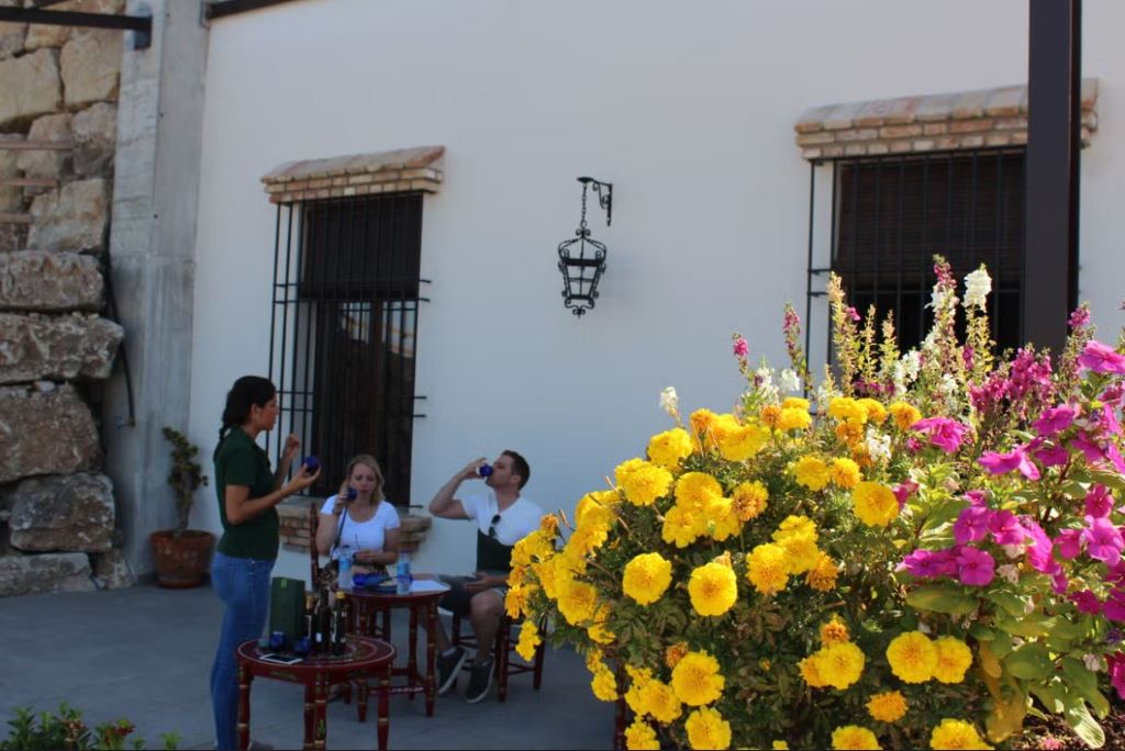 To do in January in the Costa del Sol - Olive oil museum
