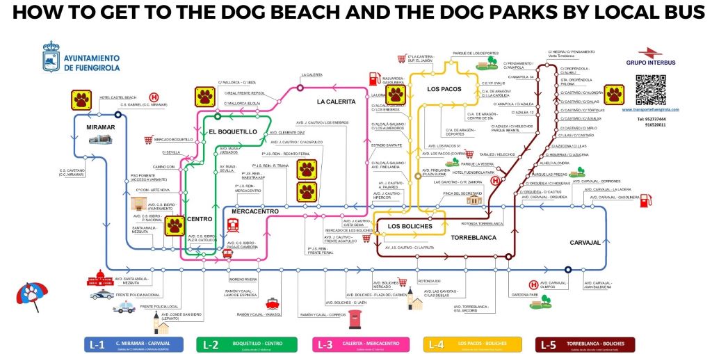 Traveling to Spain with a dog - Fuengirola! Map of bus lines 