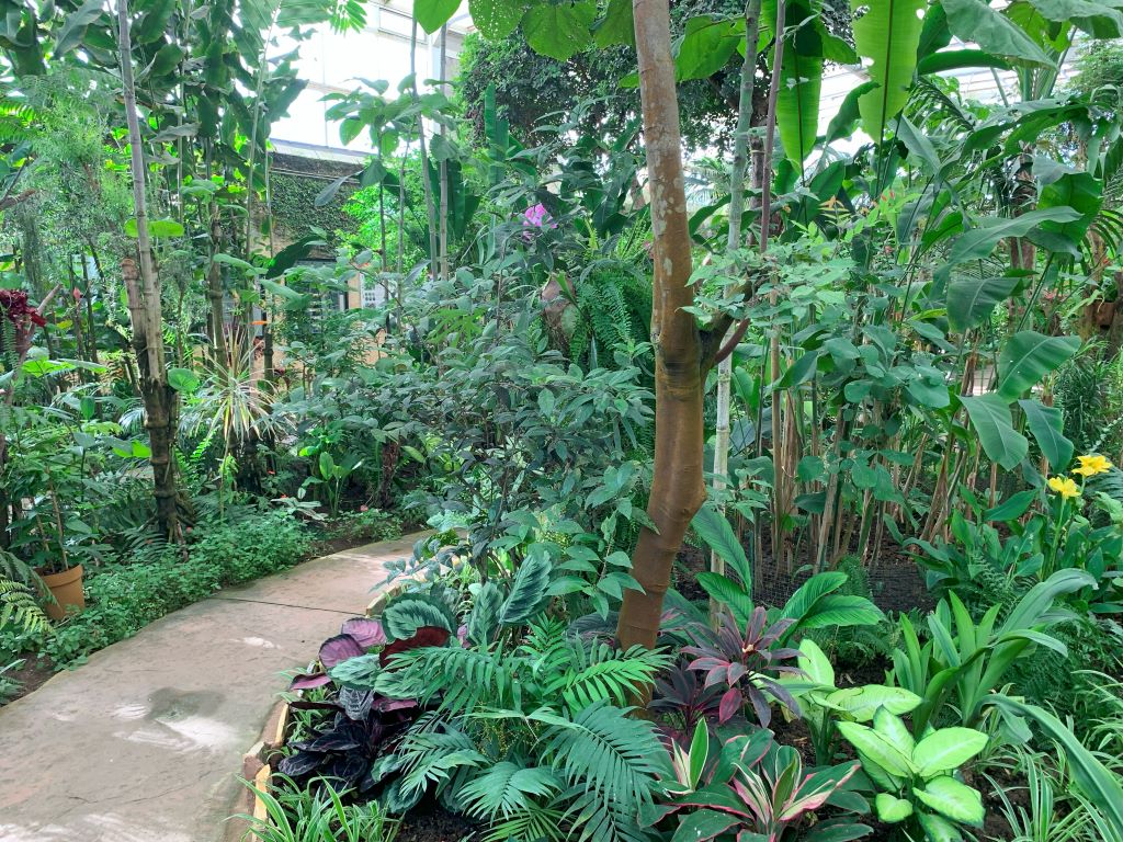 Butterfly park