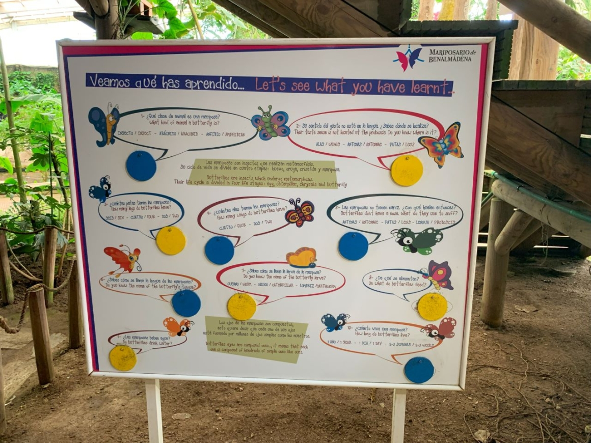 Butterfly park