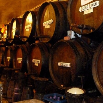 March in the Costa del Sol - Wine barrels