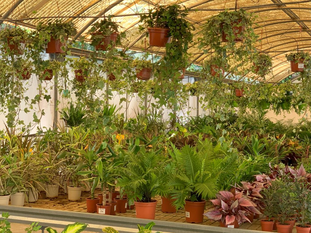 terrace gardening in Spain - Veracruz Benalmadena