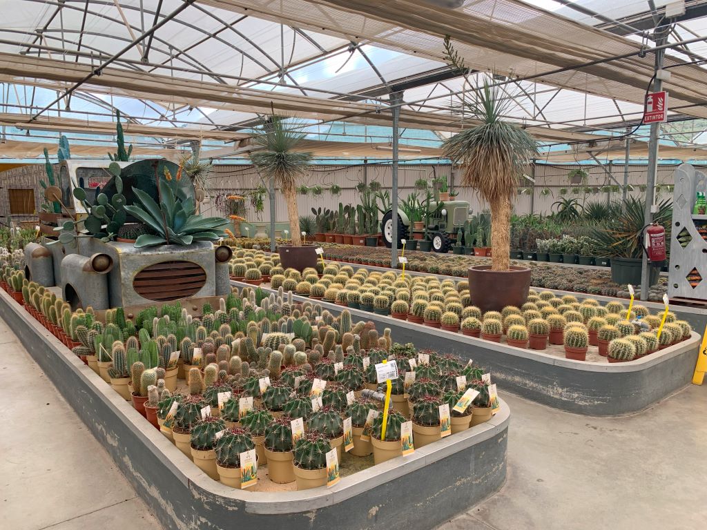 terrace gardening in Spain - Guzman Garden Center