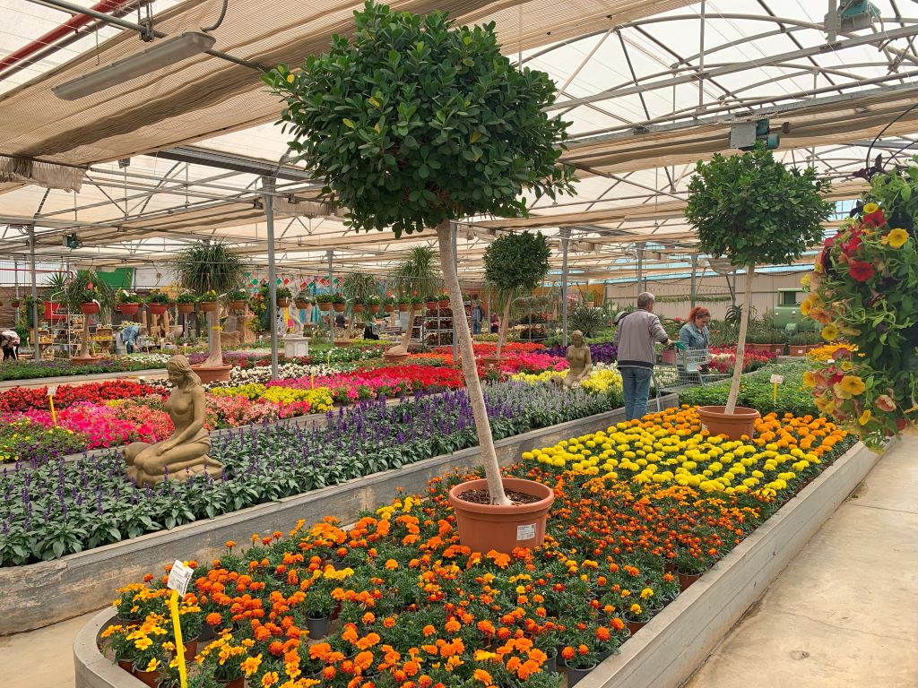 terrace gardening in Spain - Guzman Garden Center