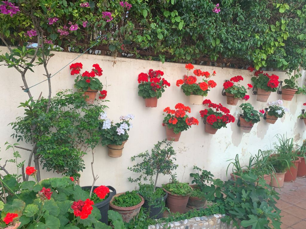 a wall garden in Spain