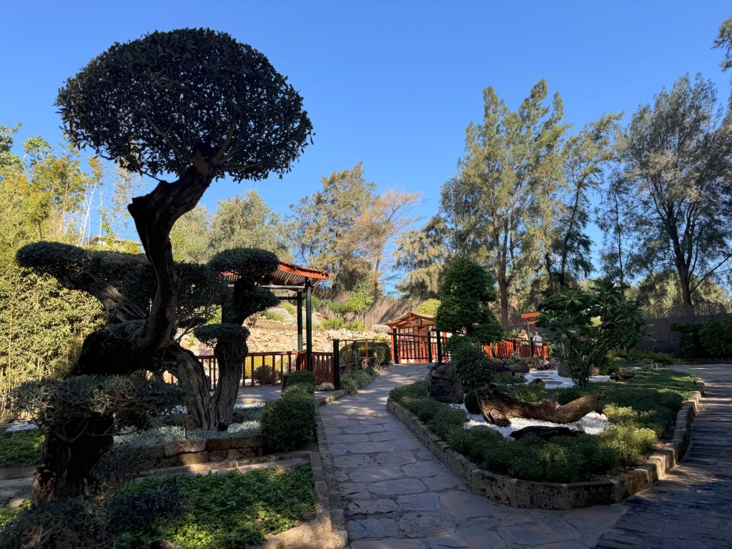 Japanese garden in the Molino de Inca Botanical Garden