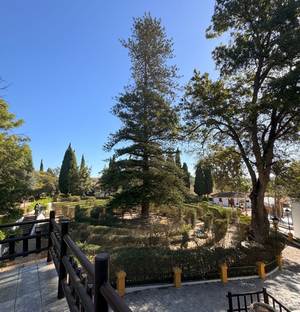 The maze at the Molino de Inca Botanical Garden