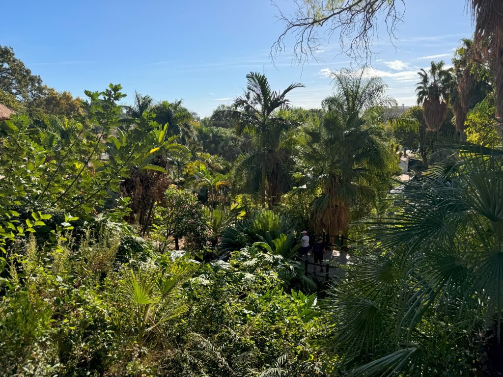 Lush green at the Molino de Inca Botanical Garden in Torremolinos