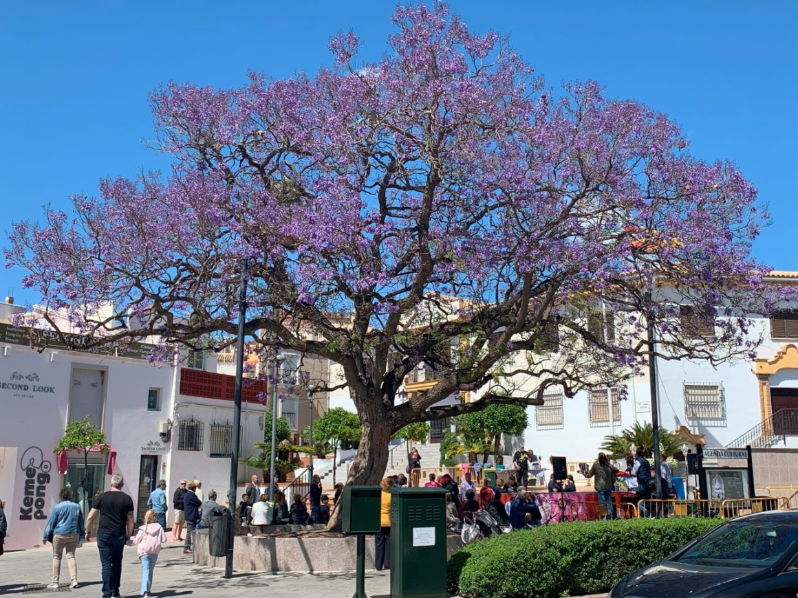 Spring on the Costa del Sol