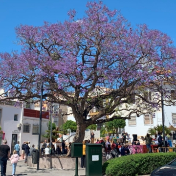 Spring on the Costa del Sol