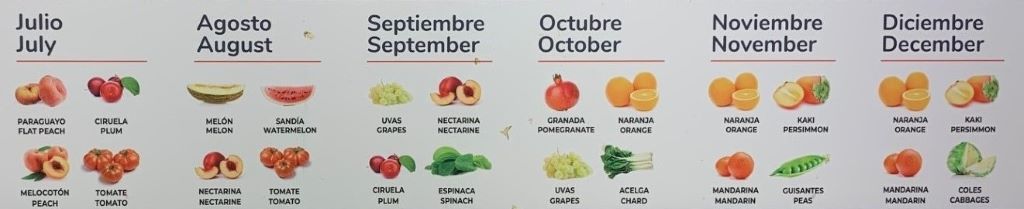 useful tips for when in Spain - fruits of the season