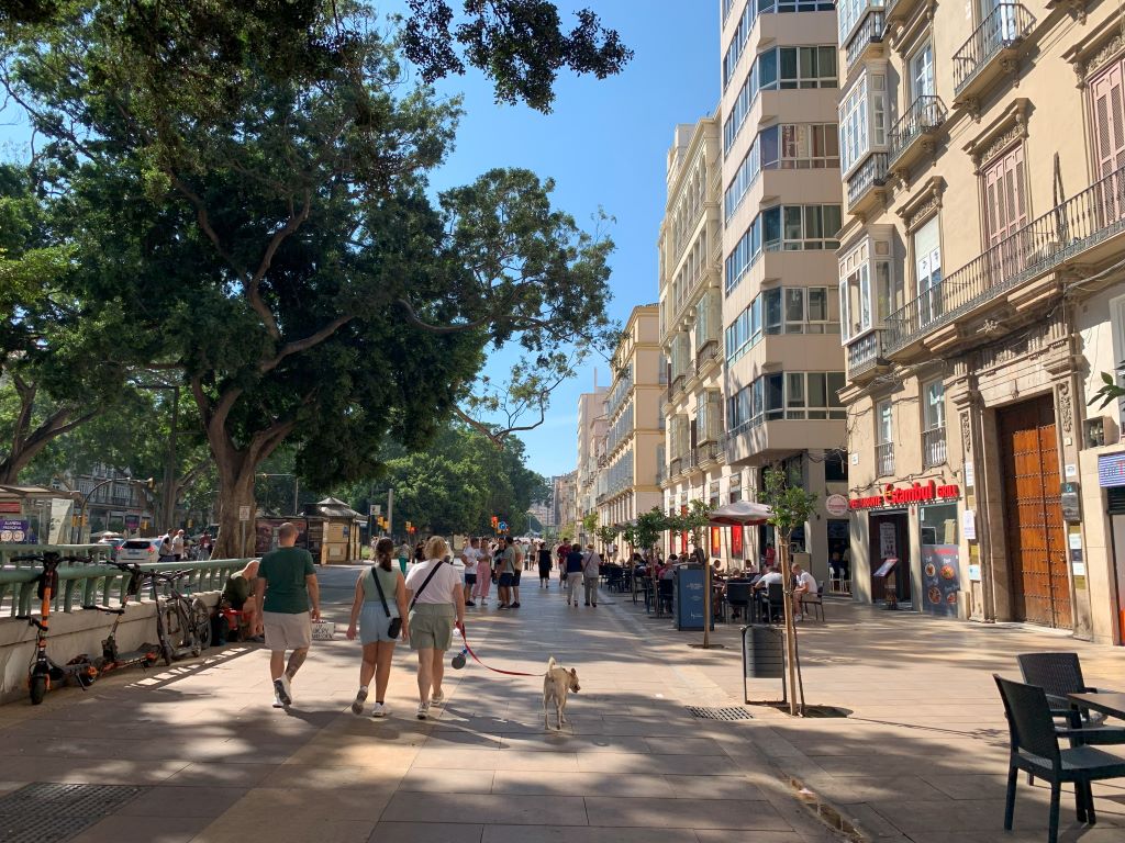 Train stations in Malaga: Alameda principal