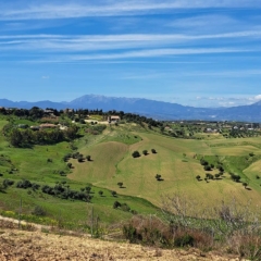 Spanish countryside