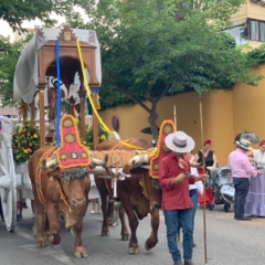 Romeria de San Juan 2023