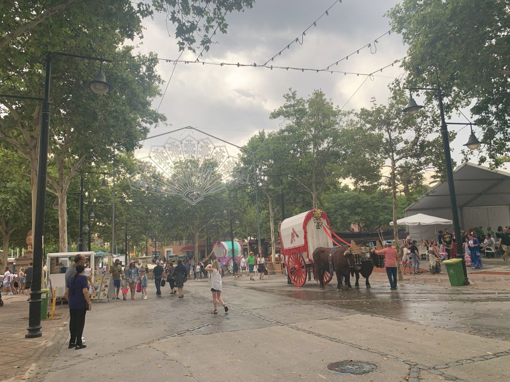 Romeria de San Juan