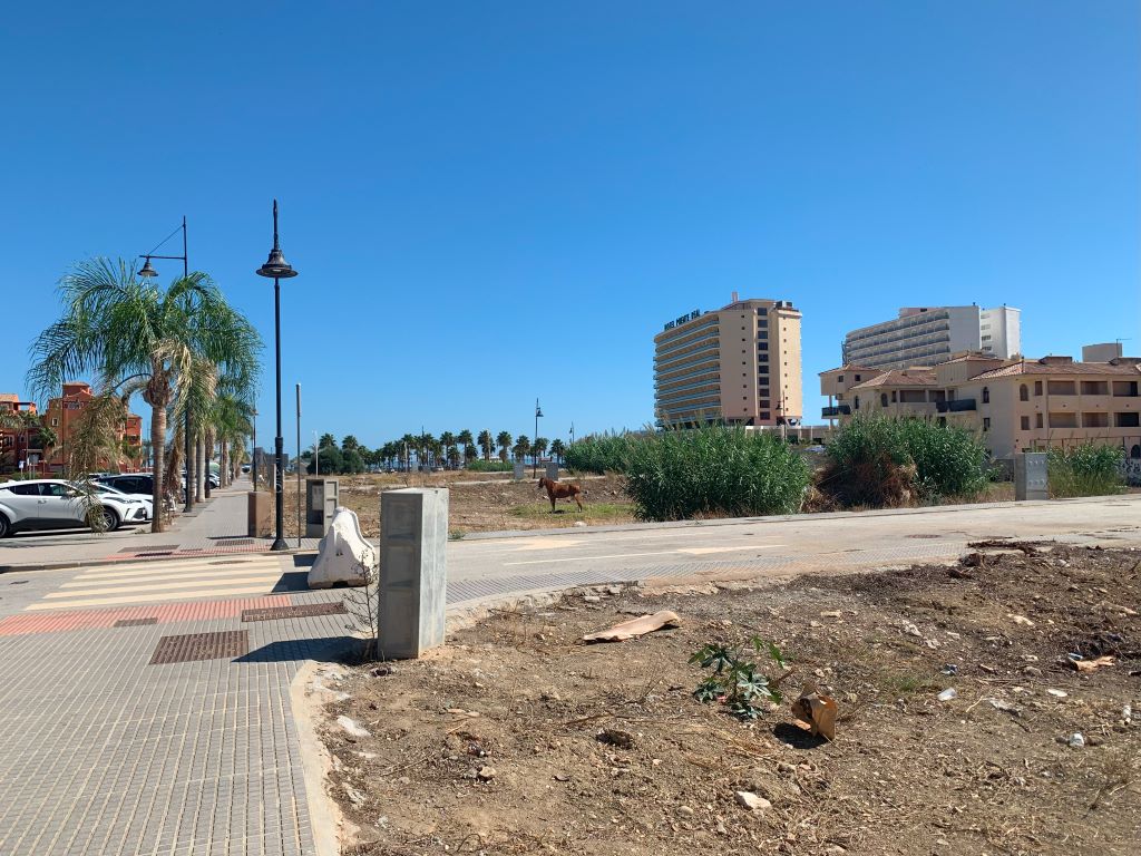 Train stations in Torremolinos - horse