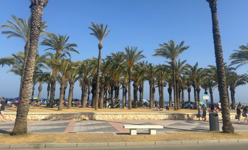 Los Alamos Beach - oasis and promenade