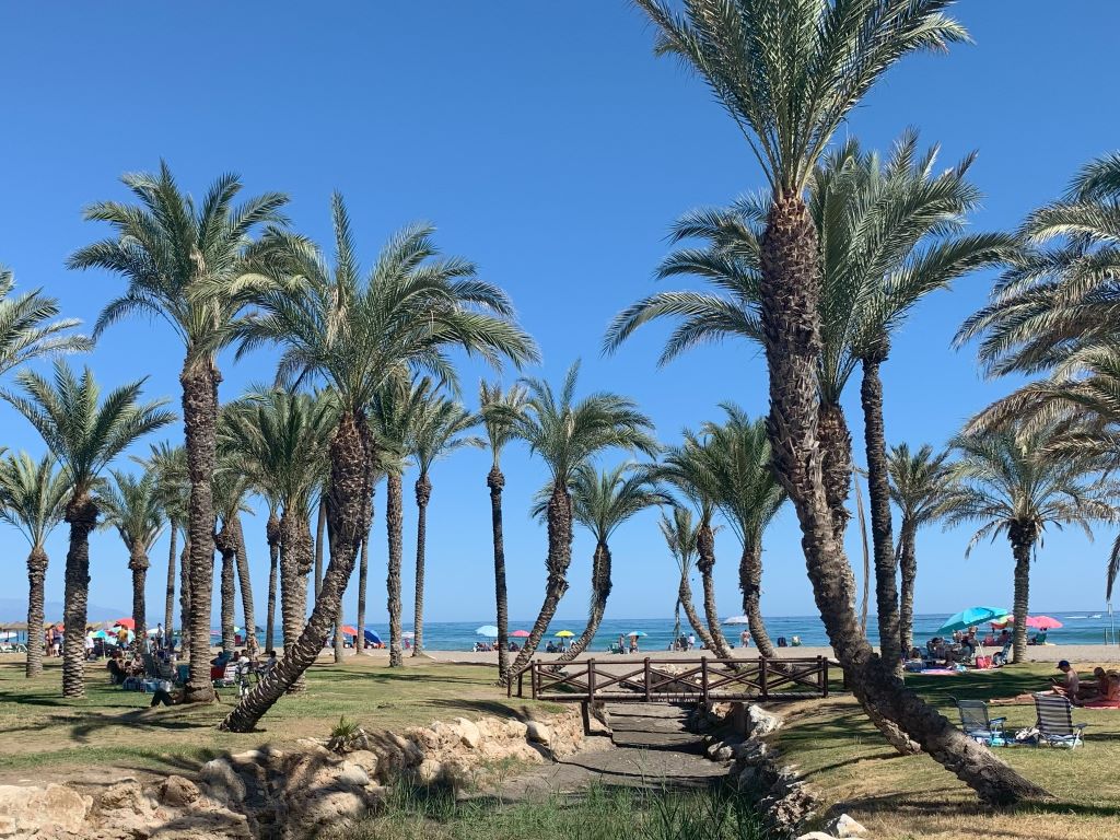 Train stations in Torremolinos - palm trees