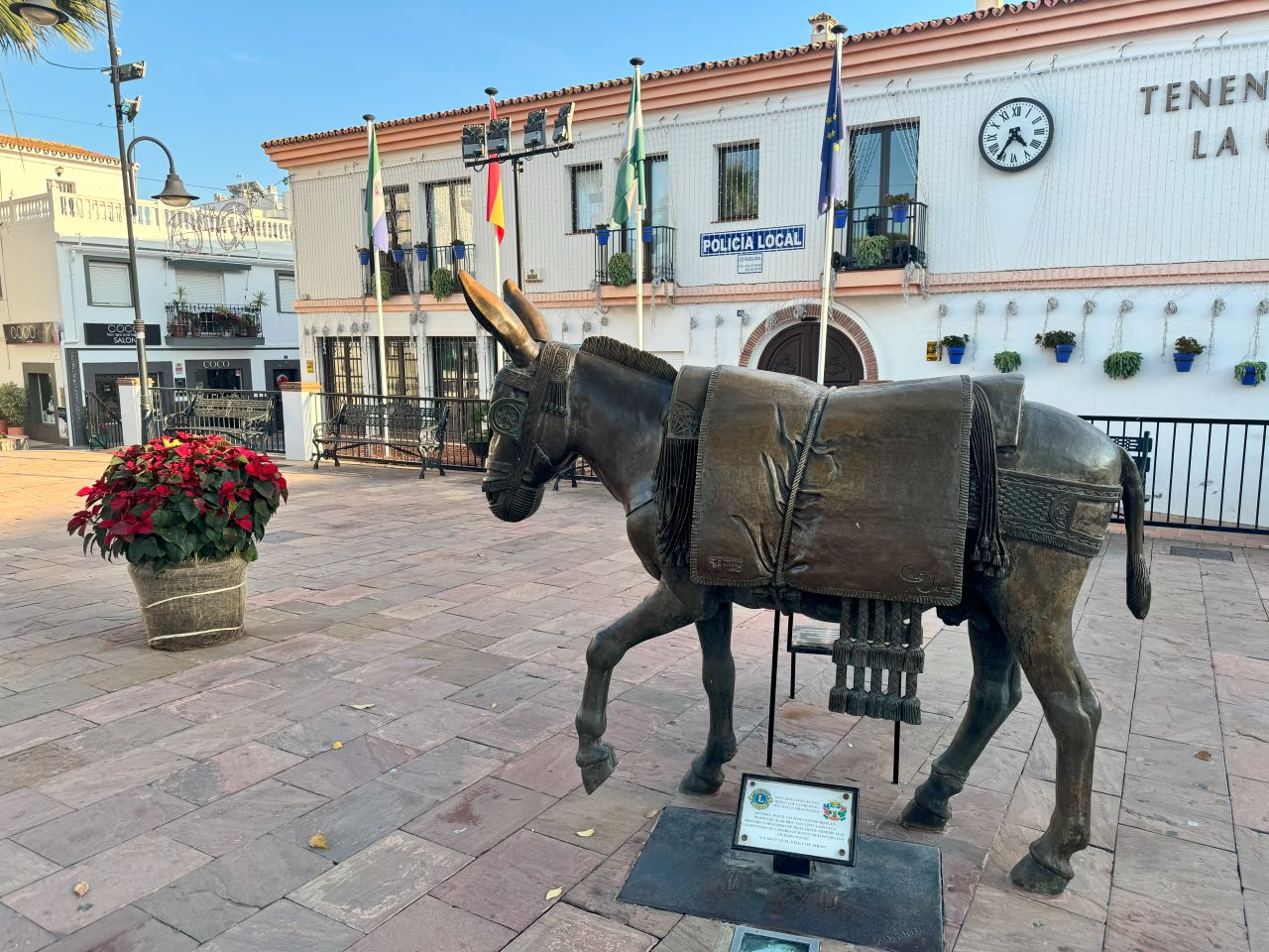 Donkey in La Cala de Mijas