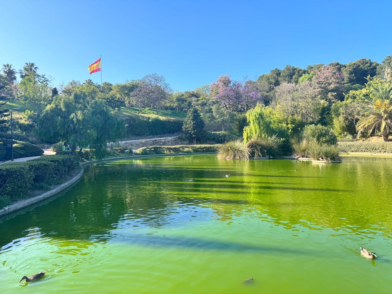 La Paloma park in Benalmadena (during Spain's power outage).