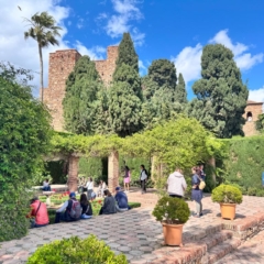 Alcazaba of Malaga