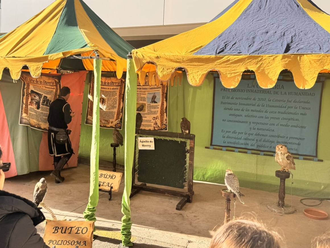 Medieval Party in Fuengirola - birds of prey