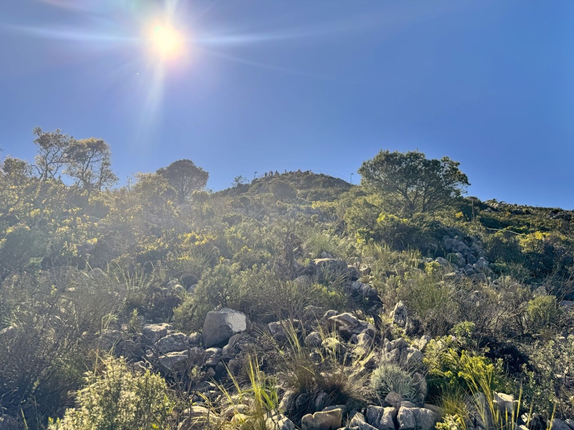 Way to the North viewpoint of Mount Calamorro